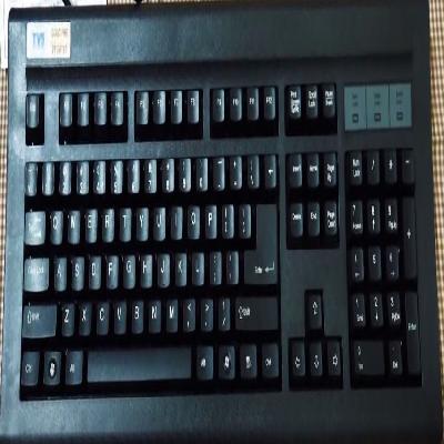 TVS Gold Prime Usb keyboard