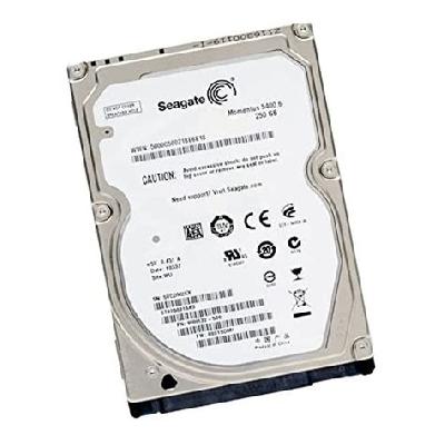 Seagate 250GB Laptop Hard Disk