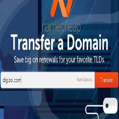 Domain Names Registration and Transfer