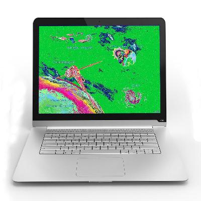 Laptop Display Screen