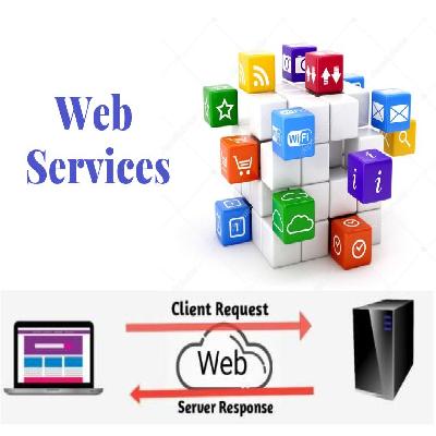 Web Solution Services