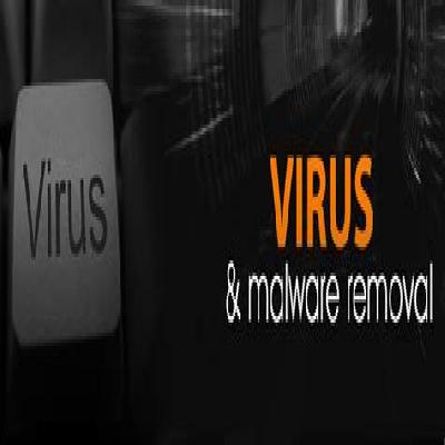 Computer Virus Removal Service