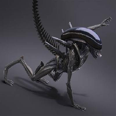 3d Alien