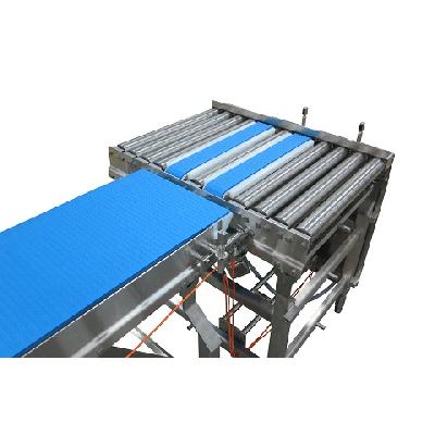 Box Transfer Conveyor