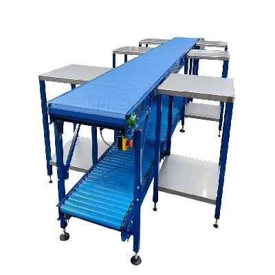 Packing Belt Conveyor