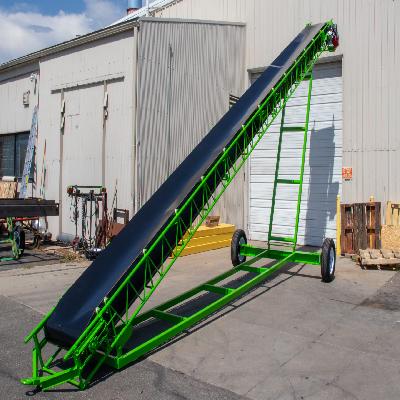 Portable Conveyor