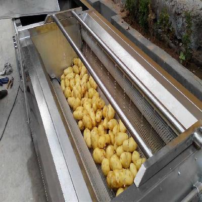 Potato Cleaning Washing Machine