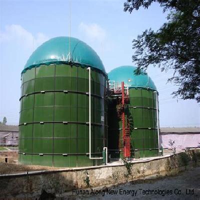 Biogas Digester