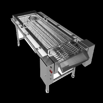 Inspection Trolley Conveyor