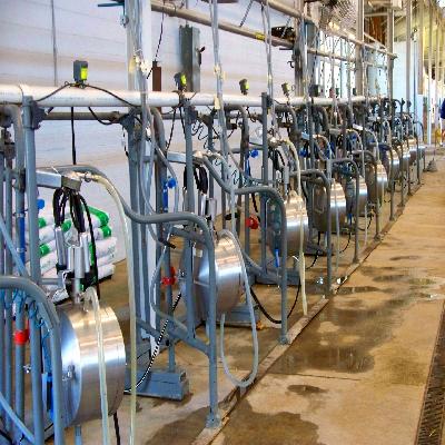 Dairy Machinery