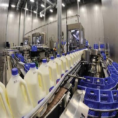 Dairy Plant Service Provider