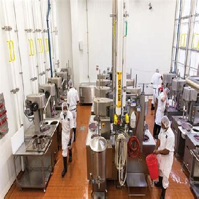 Ice Cream Plant