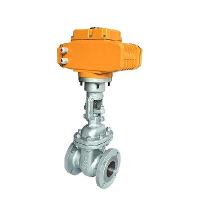 Motorized Gate Valve