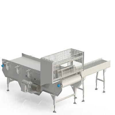 Industrial Packing Conveyor