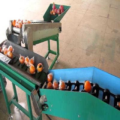 Tomato Sorting Machine