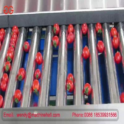 Tomato Sorting System