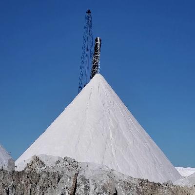 Salt Plant