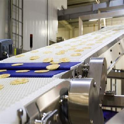 Conveyor Systems For Food 