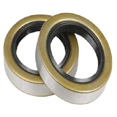Bearing Seal
