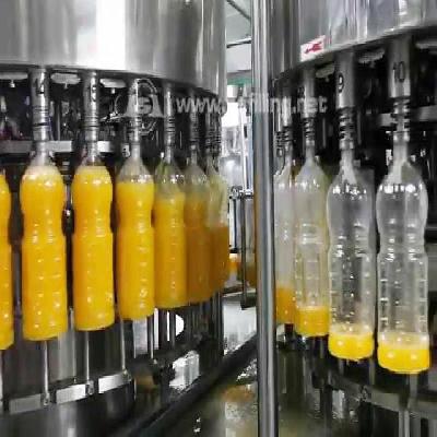 Fruit Juice Plant