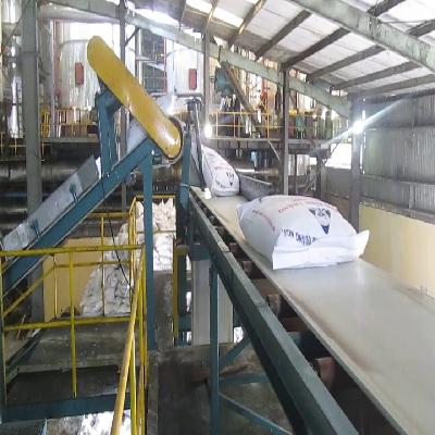Bag Handling Conveyor