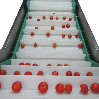 Fruit Washing Modular Belt