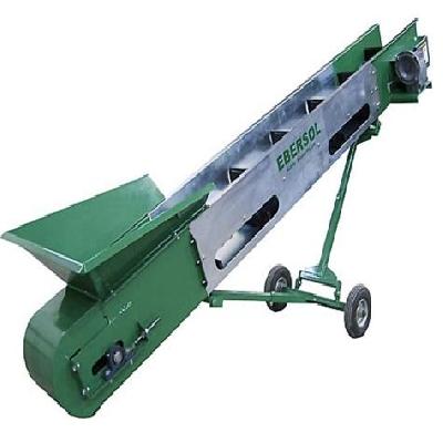 Single Chain Conveyor