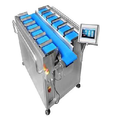 Weighing Belt System