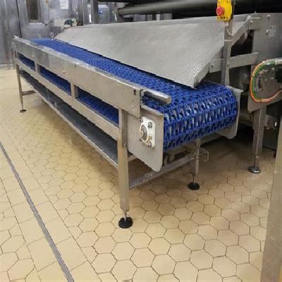 Food Belt Conveyor