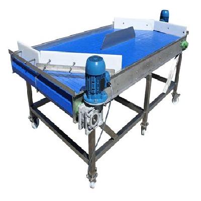 Packing Table Belt Conveyors