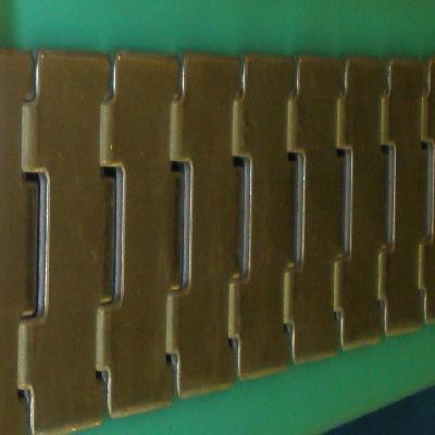 Slat chain with side guide 