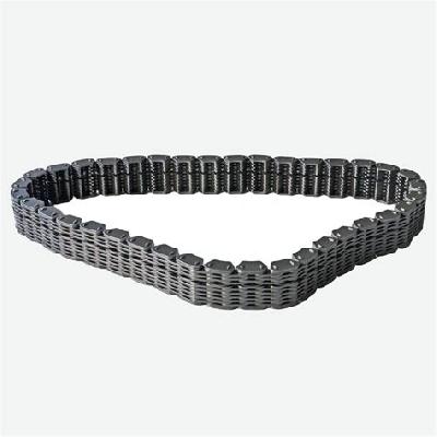 SS316 Indexing Conveyor chain