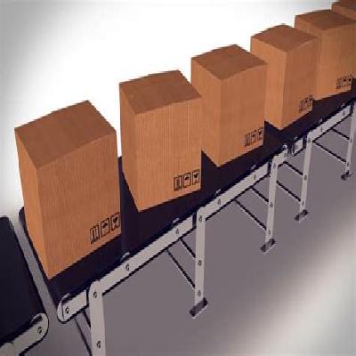Carton Handling Belt Conveyors