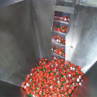 Bottle Cap Elevator Conveyors