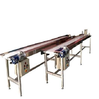 Packing Conveyor