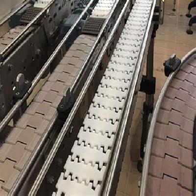 Flexible Chain Conveyor System
