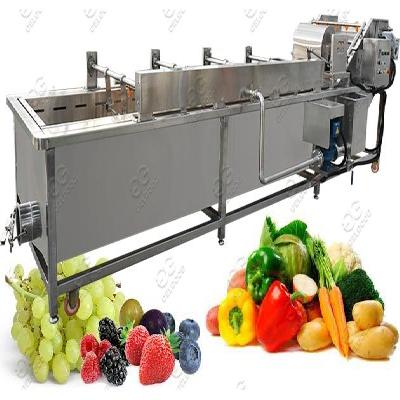 Fruit Washer