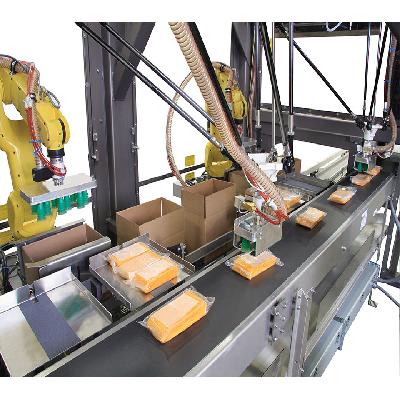 Fully Automatic Case Packers