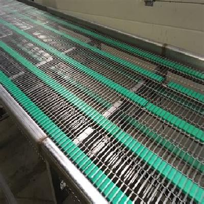Stainless Steel Conveyor Belt