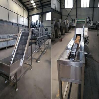 Semi-Automatic Potato Chips Plant