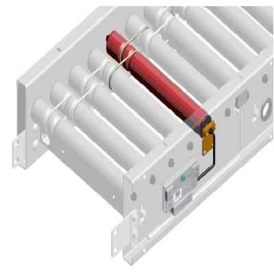 Motorized Conveyor System