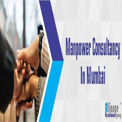 Manpower Technical Consultant Service