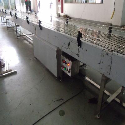 SS Slat Chain Conveyor