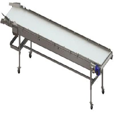 Inspection Conveyor