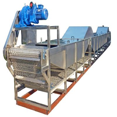 Sterilization Conveyor