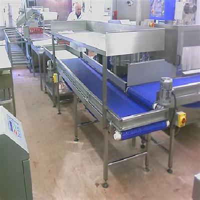 Food Grade Belt Conveyor