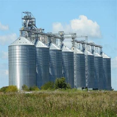Grain Storage Silos