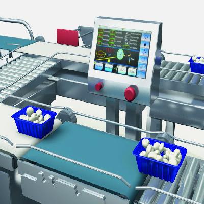 Check Weighing System