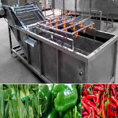 Fruit and Vegetable Washing Conveyor