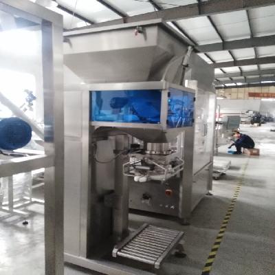 Semi Automatic Bagging Machine